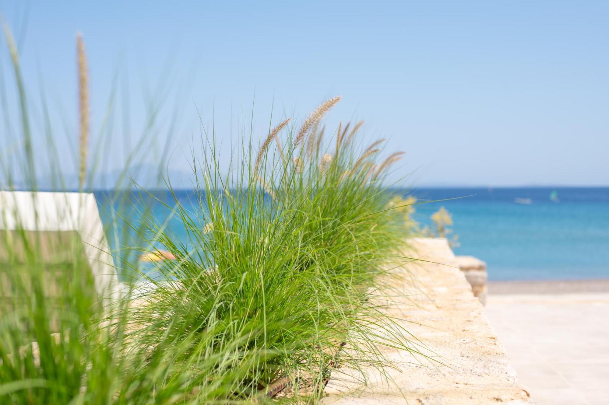 Nalu Luxury Suites Adults Only Kéfalos エクステリア 写真