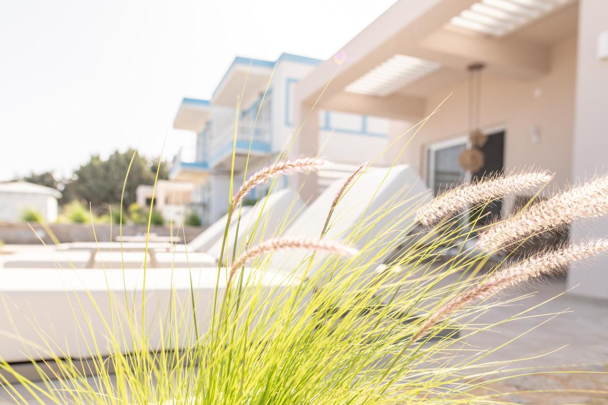 Nalu Luxury Suites Adults Only Kéfalos エクステリア 写真